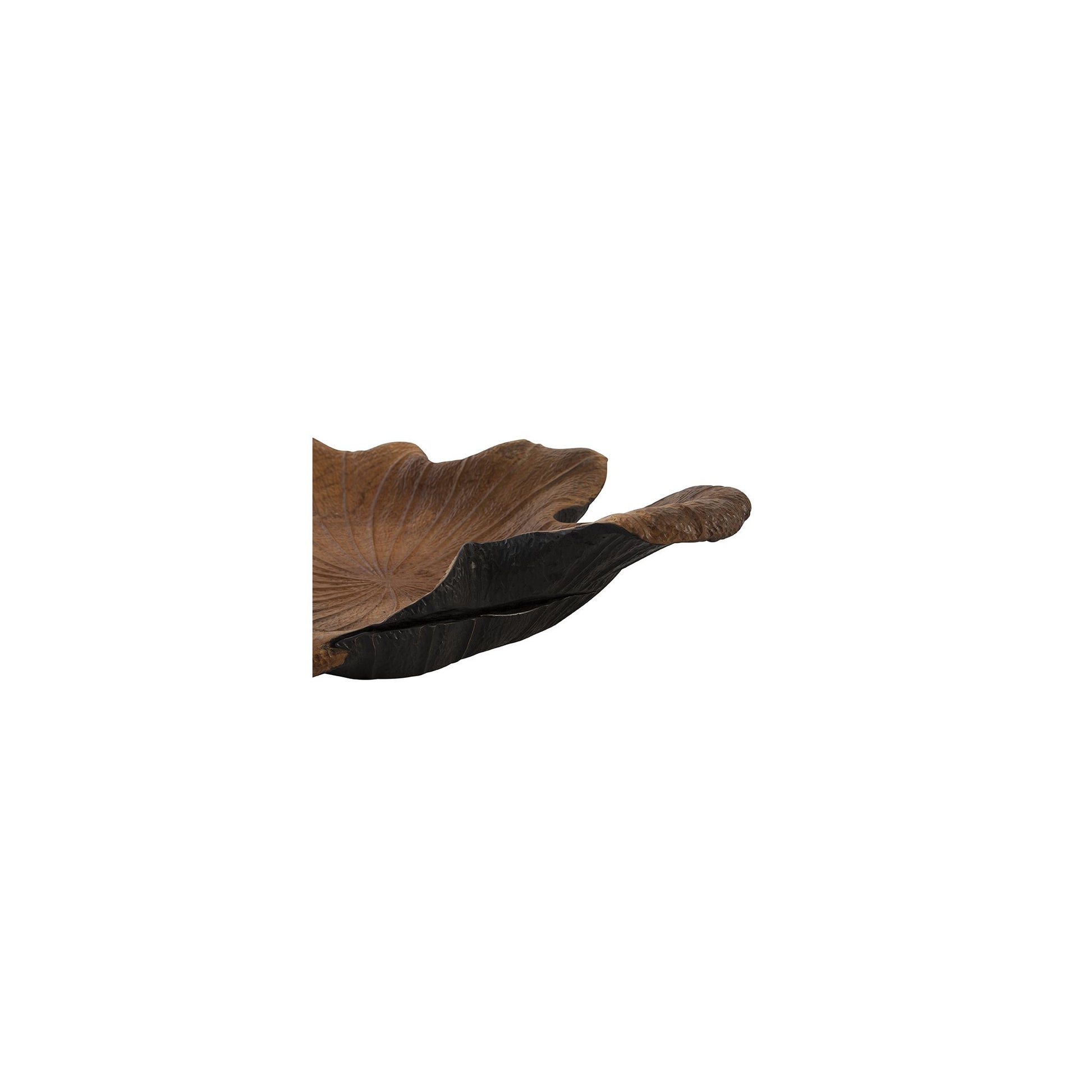 Black and Teak Bowl detail view by Furniture Classics at ZIN Home
