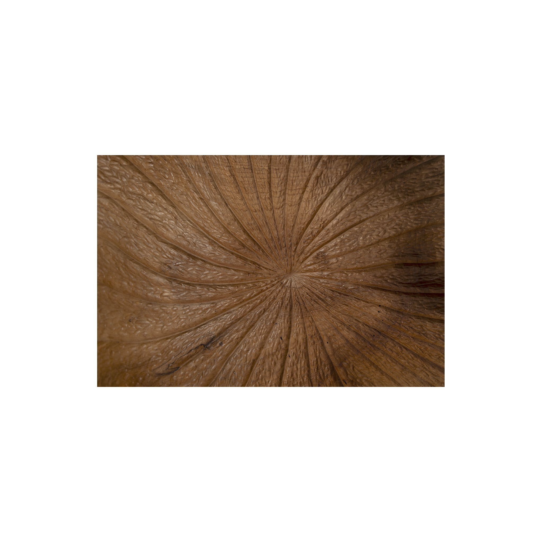 Black and Teak Bowl detail view by Furniture Classics at ZIN Home