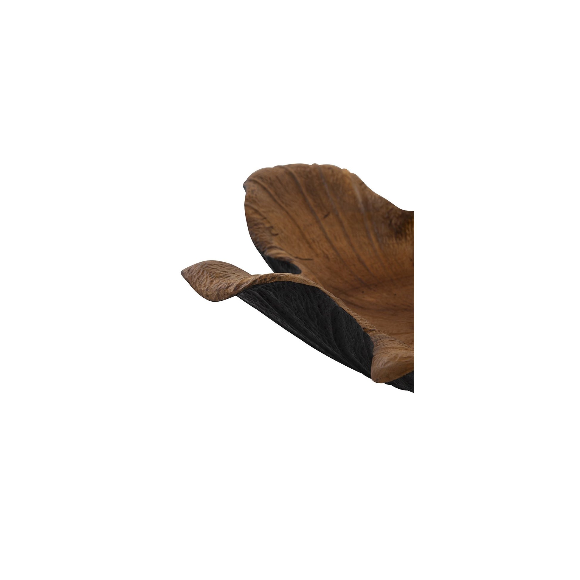 Black and Teak Bowl detail view by Furniture Classics at ZIN Home