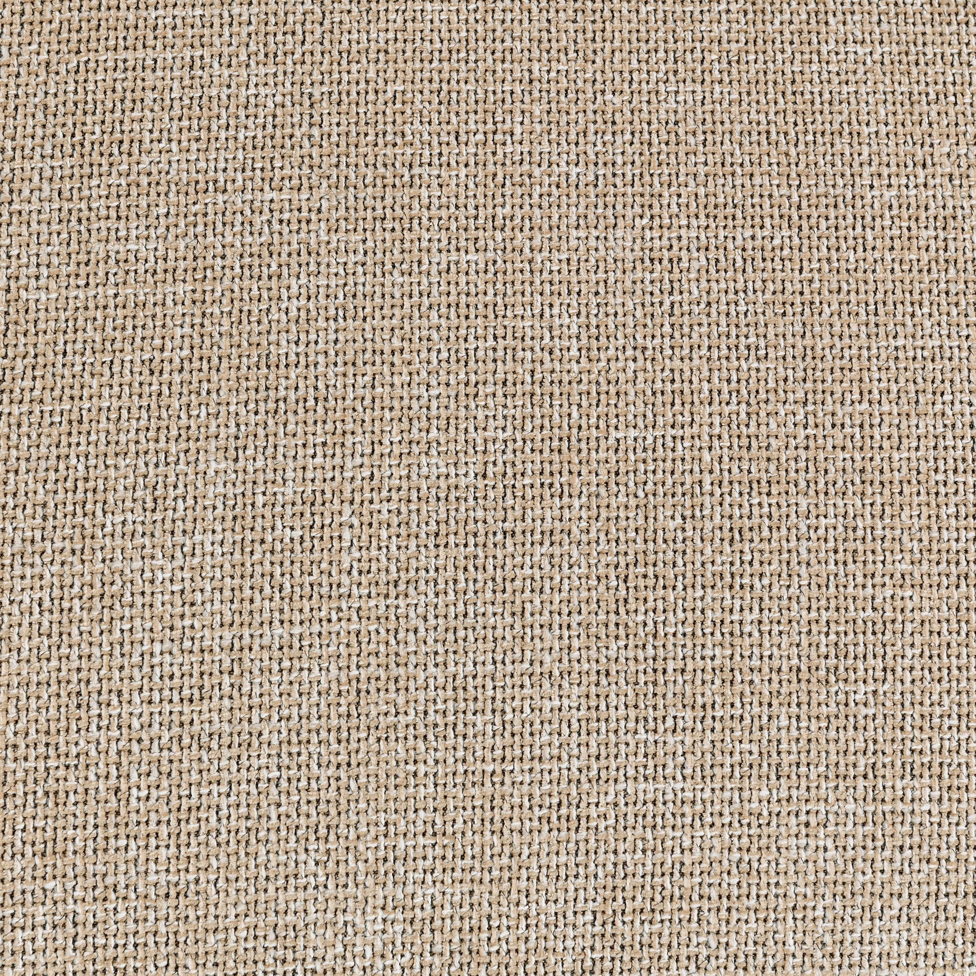 Donovan Sofa - Bisque