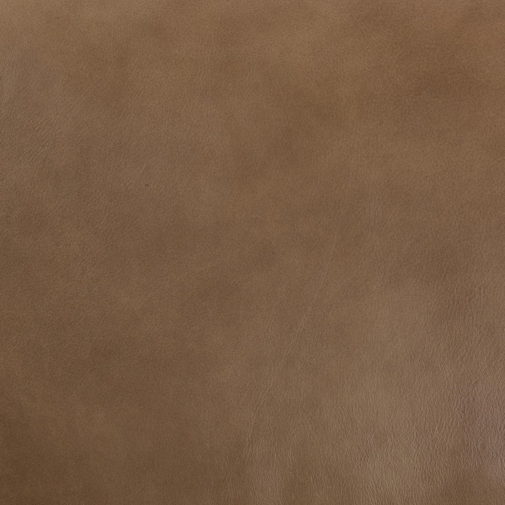 Kadon Reclining Sofa - Tan