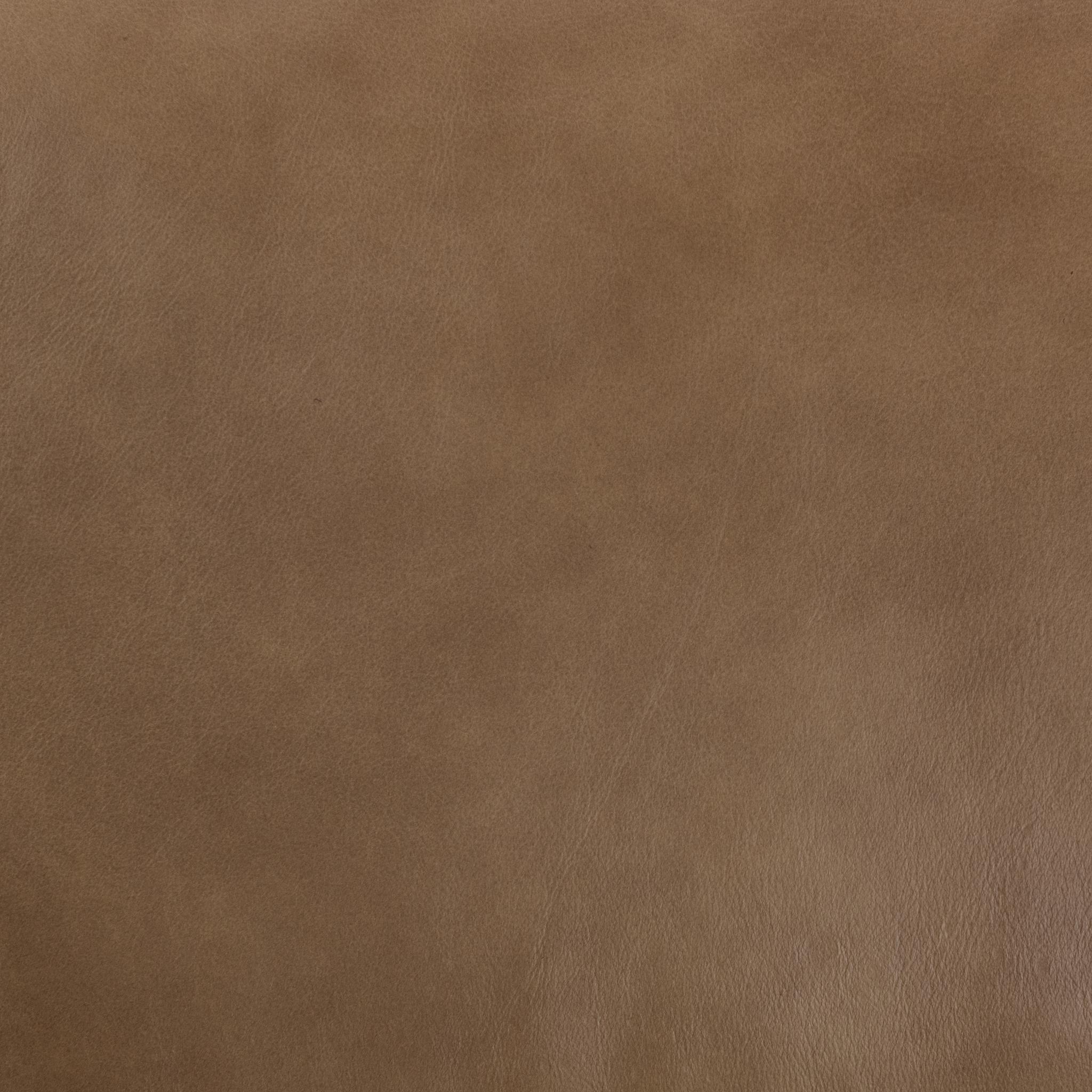 Kadon Reclining Sofa - Tan