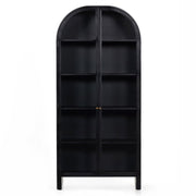 Breya Industrial Black Iron 2 Glass Doors Display Cabinet