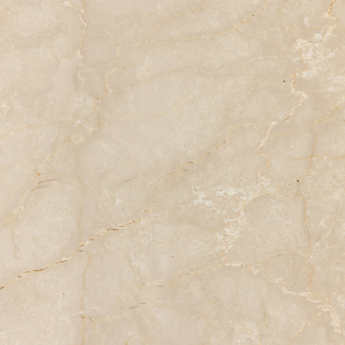 Arum Solid Marble Coffee Table 50"