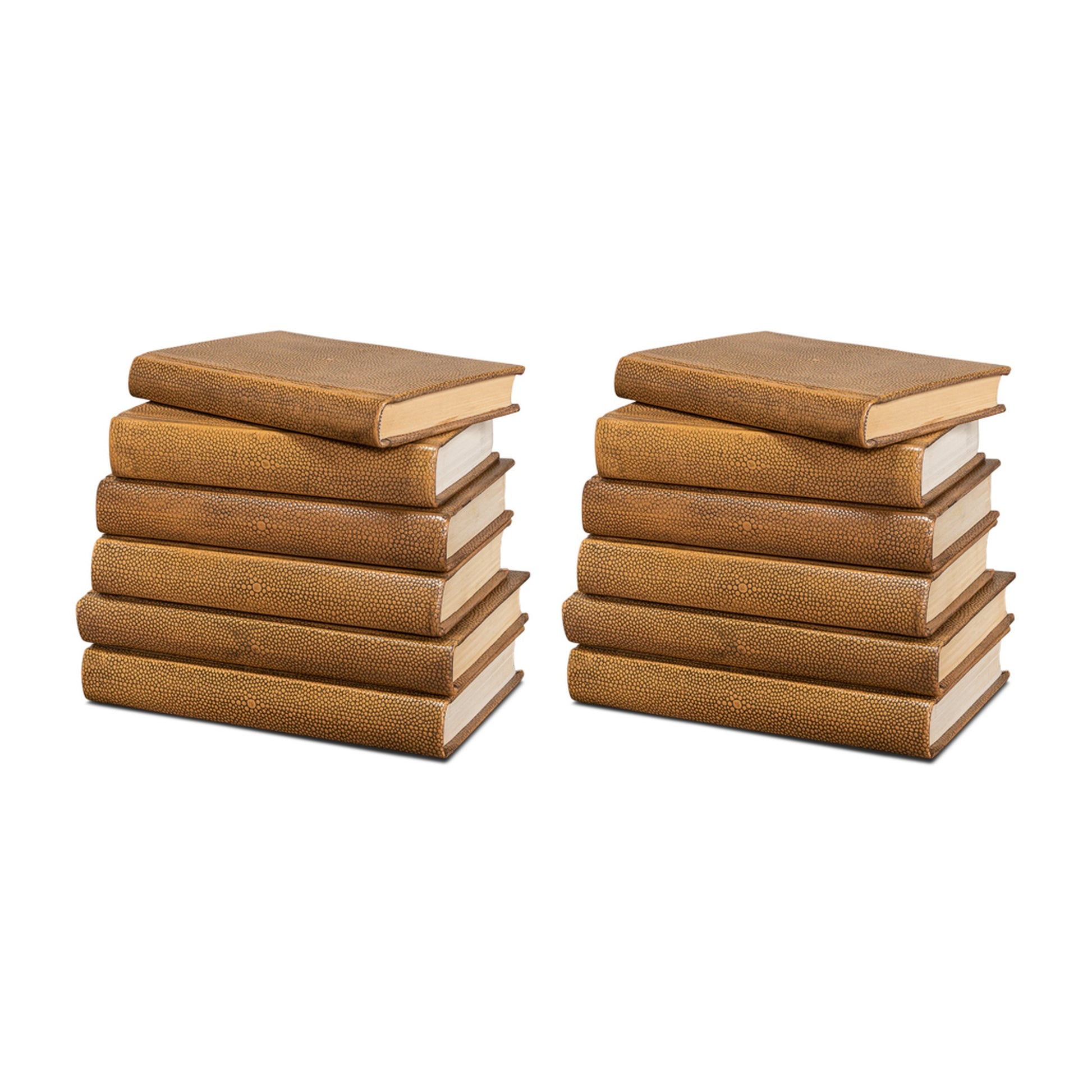 Shagreen Books, Set Of 12, Tawny Brown by Sarreid Ltd