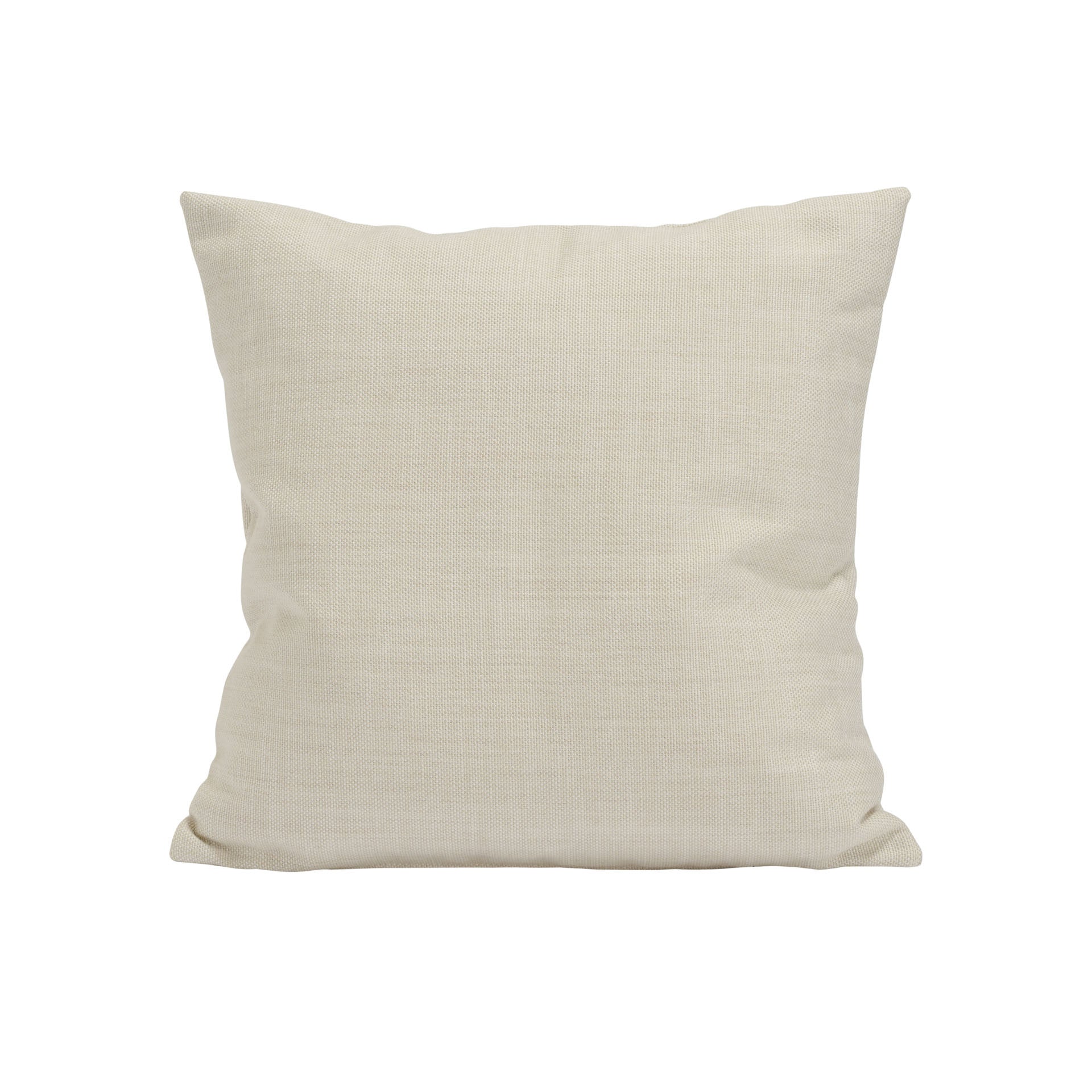 Interior Throw Pillow 20"x20"