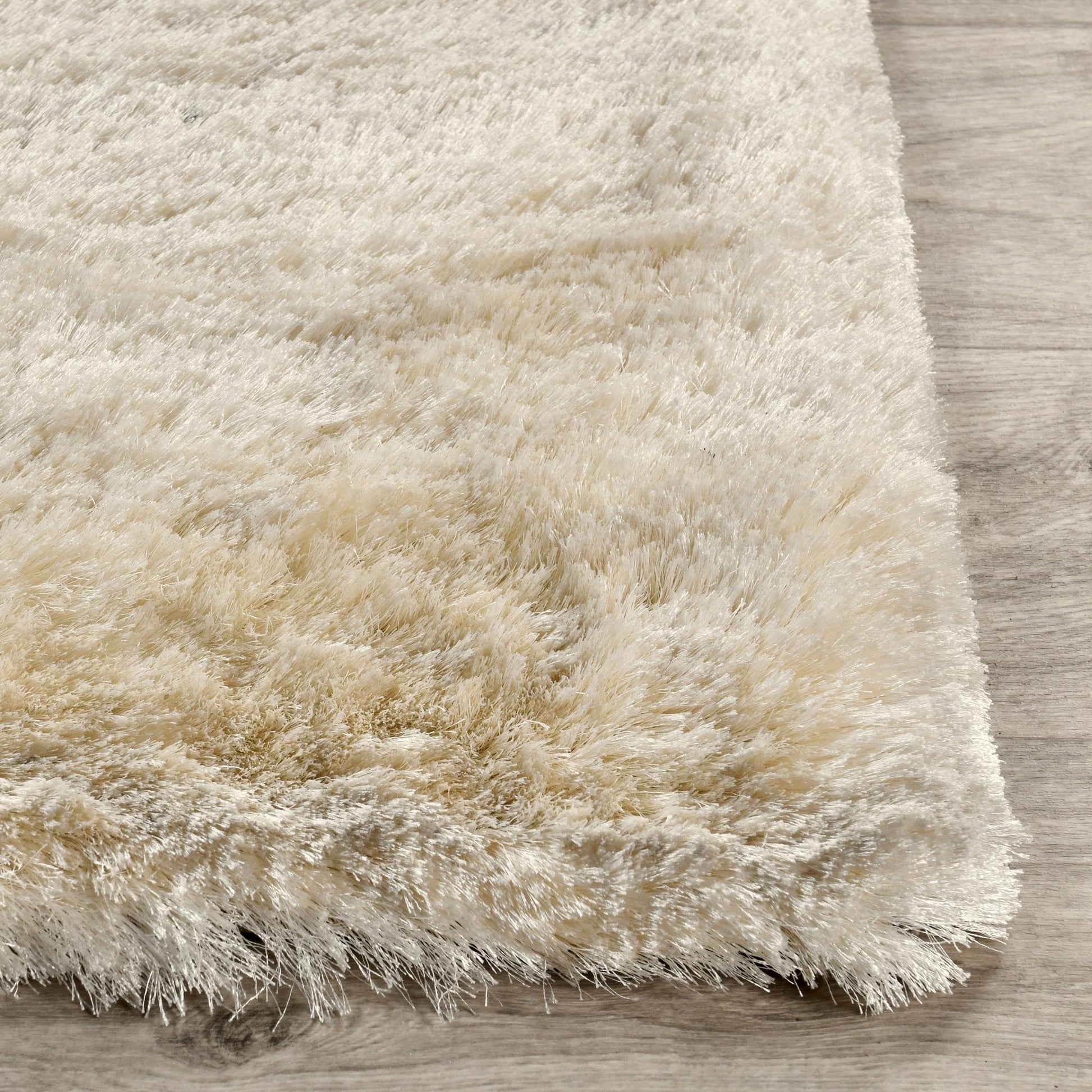 Carter Shag Rug - Ivory - 2'x3'
