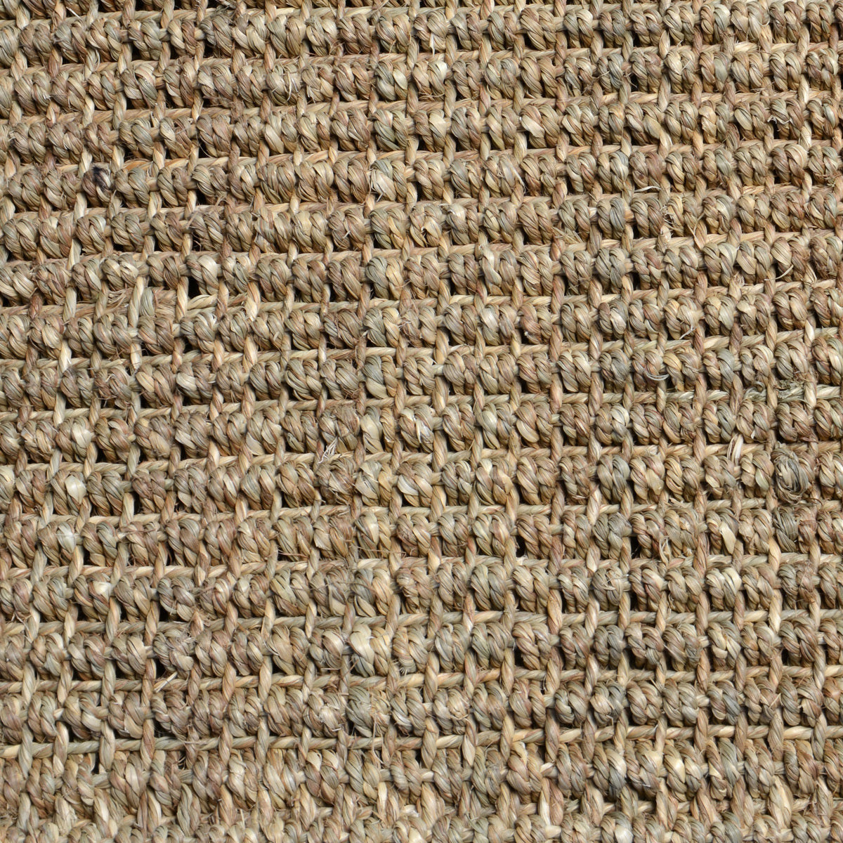 Seagrass - 30065100