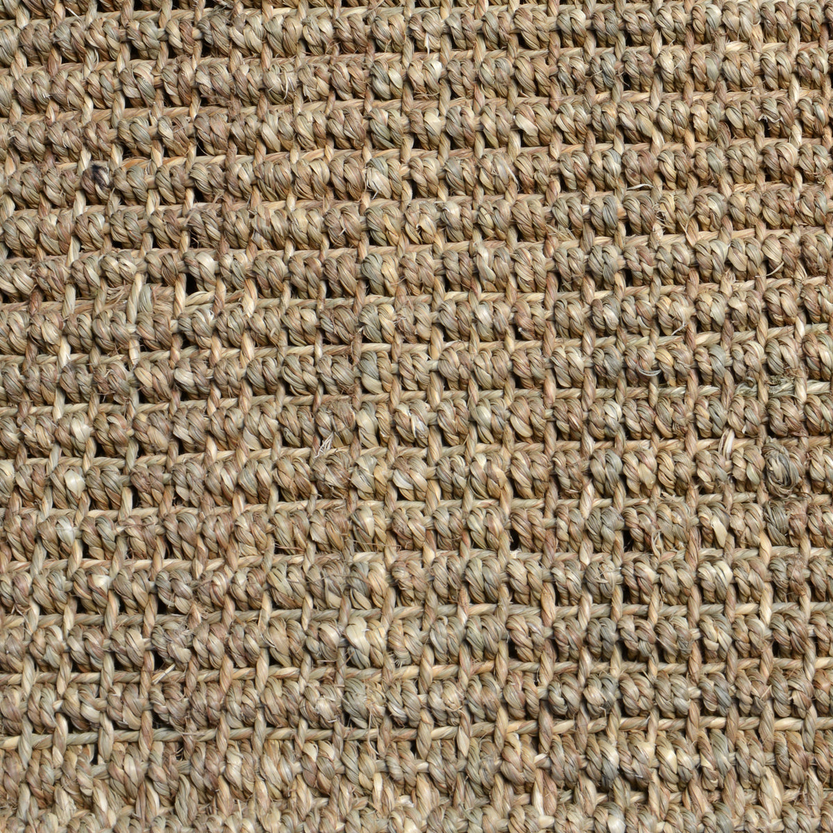 Seagrass - Neutral - 2'x3'