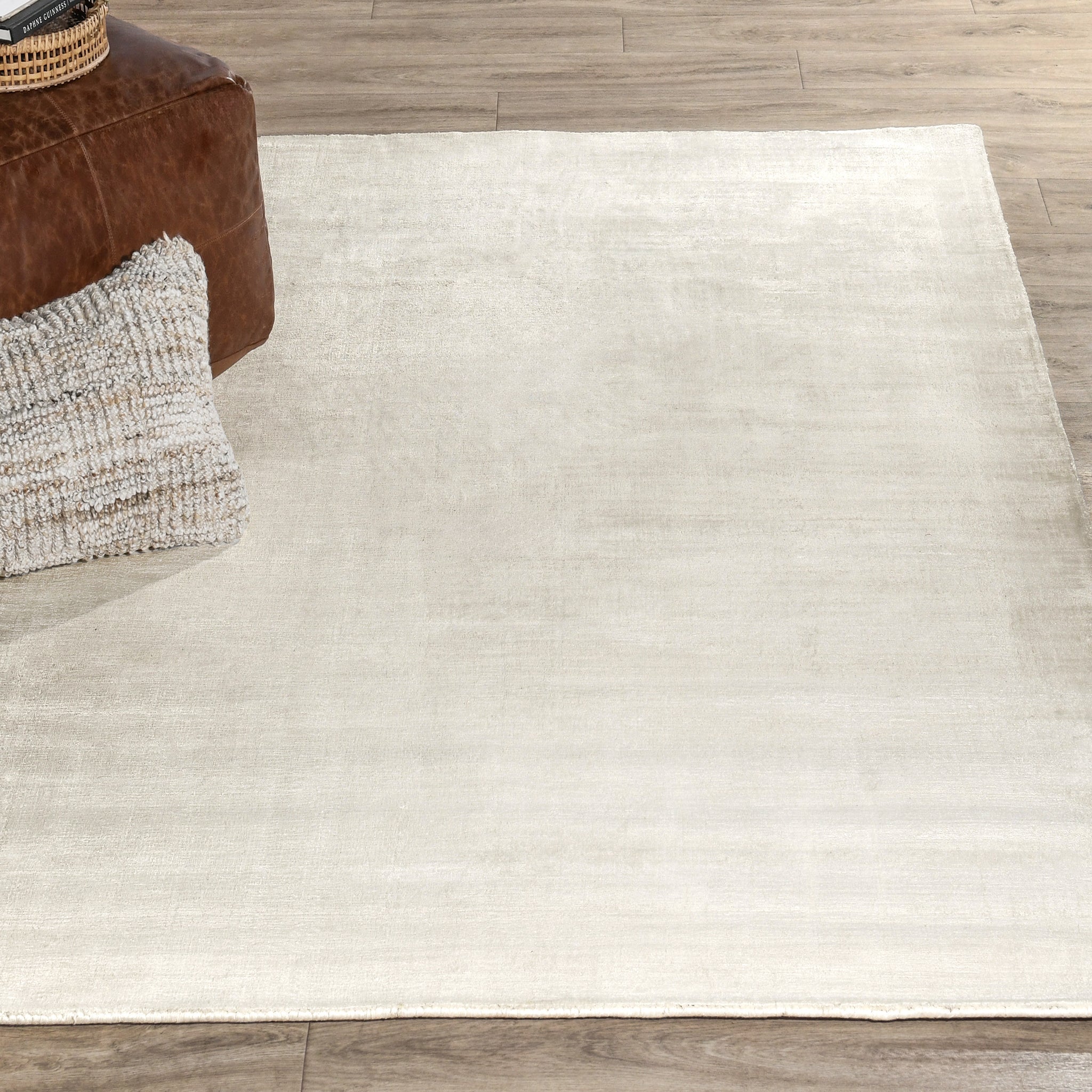 Berlin Distressed Rug - Ivory - 2'x3'