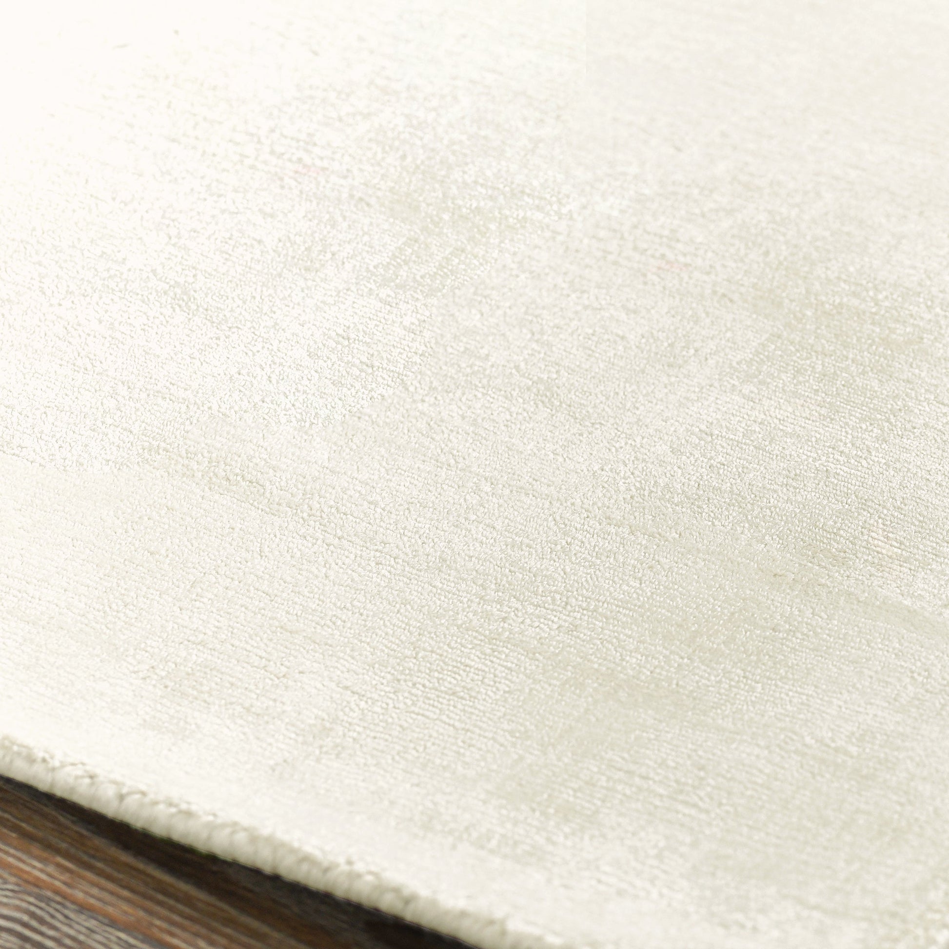 Berlin Distressed Rug - Ivory - 2'x3'