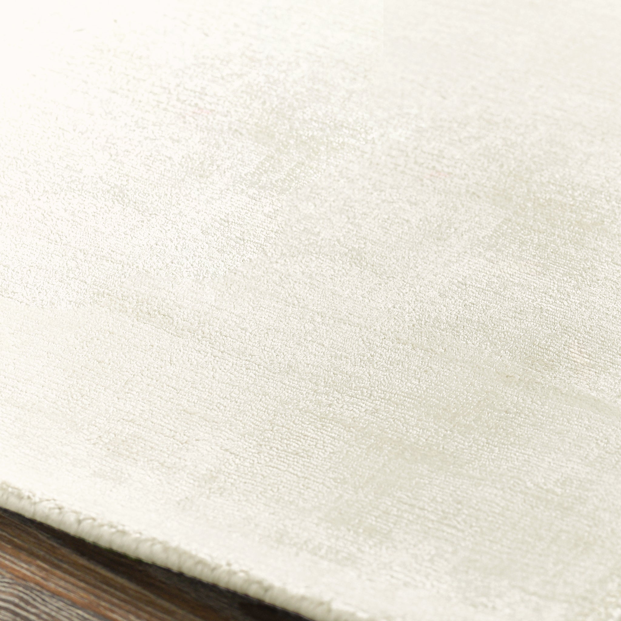 Berlin Distressed Rug - Ivory - 2'x3'