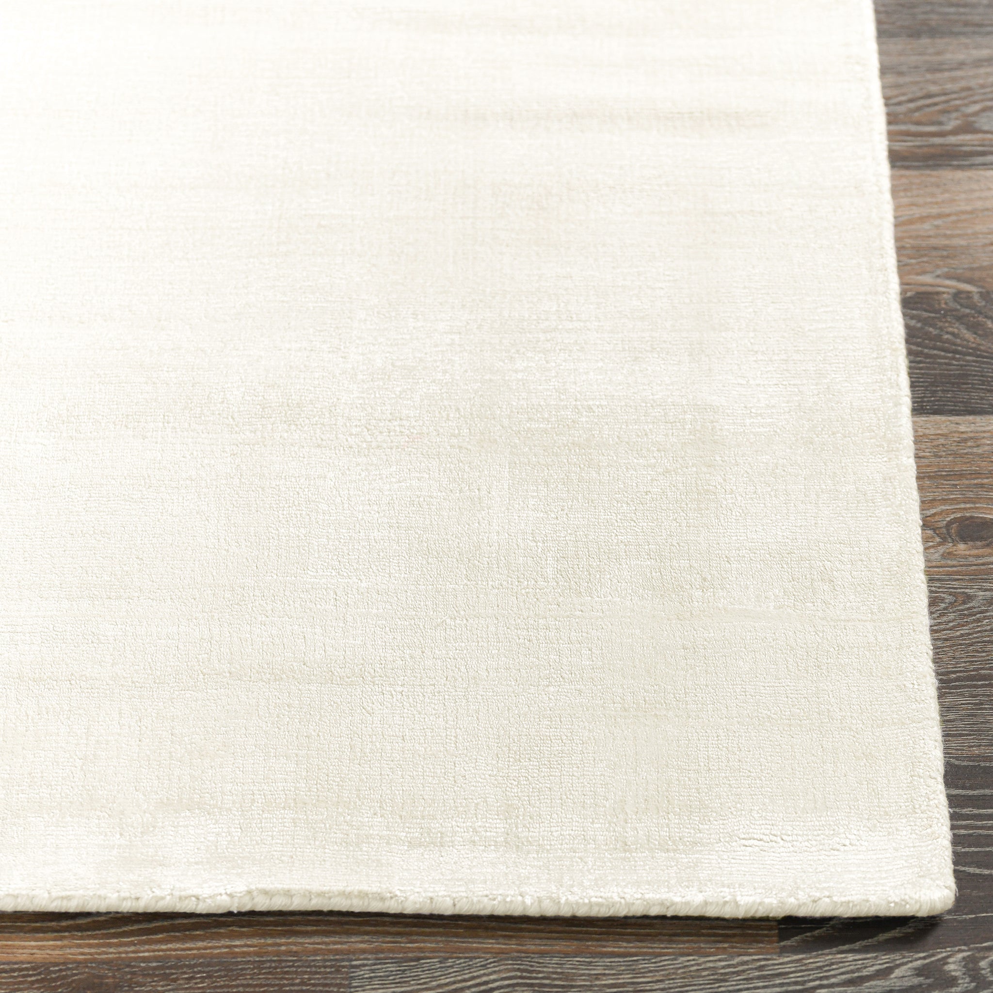 Berlin Distressed Rug - Ivory - 2'x3'
