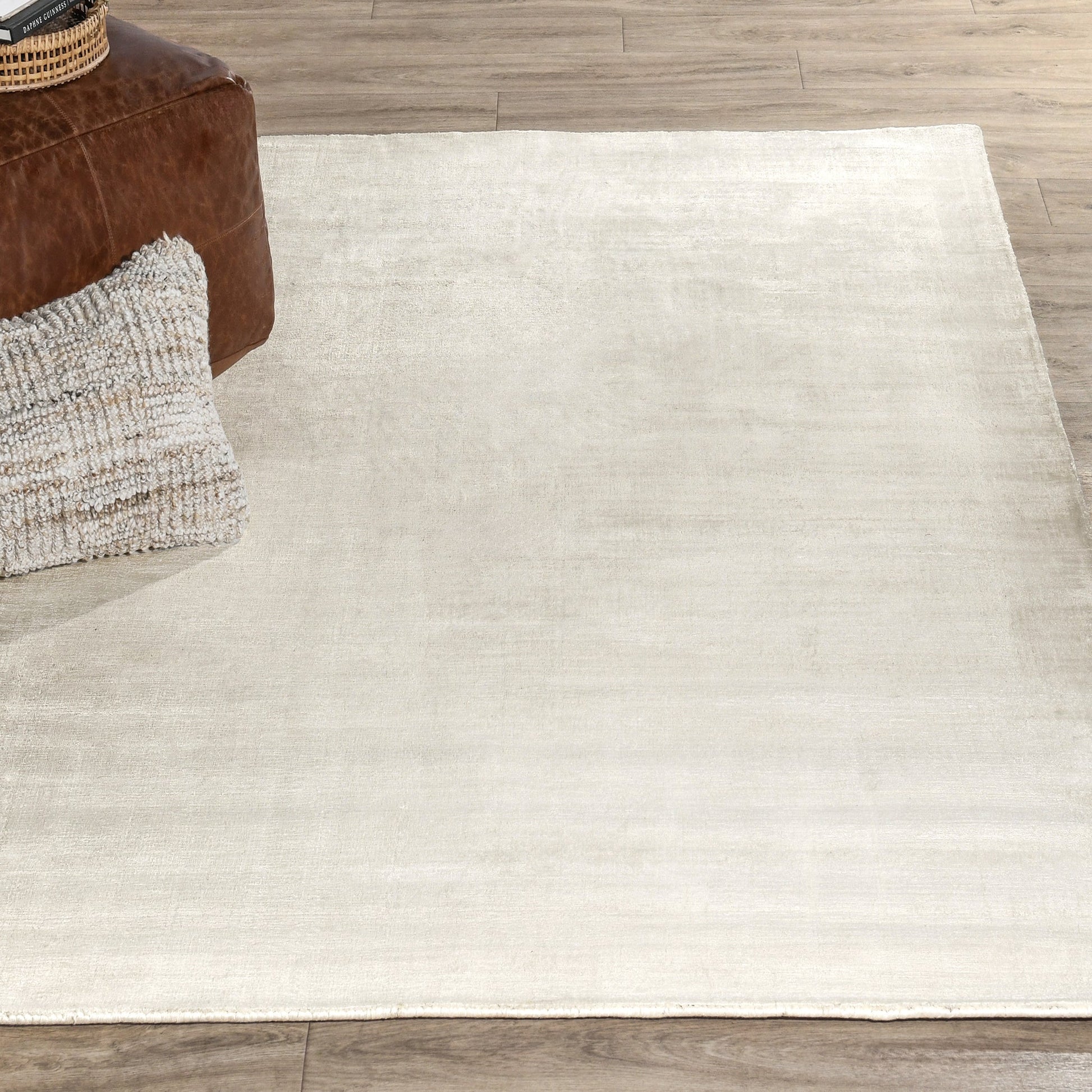 Berlin Distressed Rug - Ivory - 2'x3'