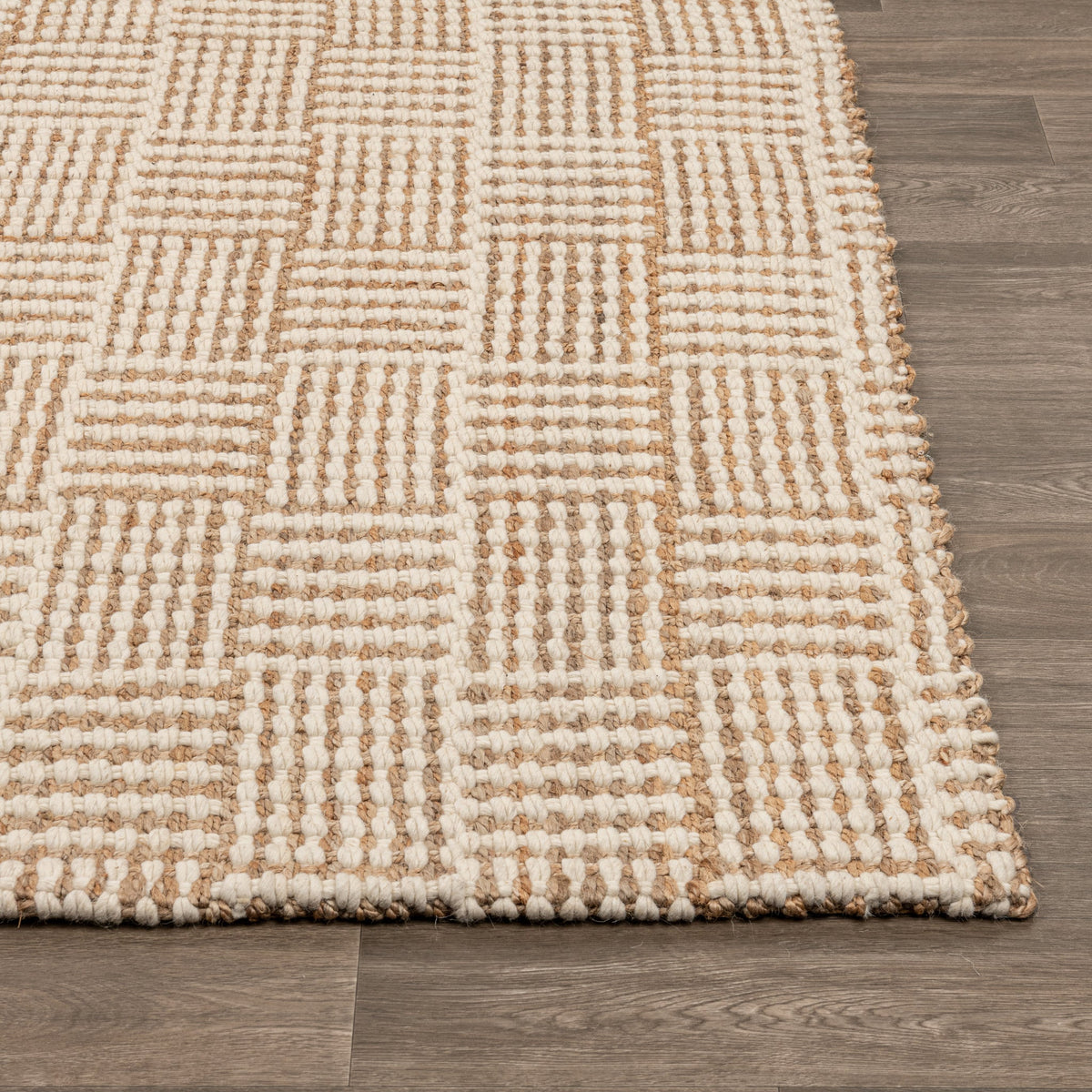 Osuna Rug - Ivory/Natural / 2'x3' / Rug by Classic Home - view 2