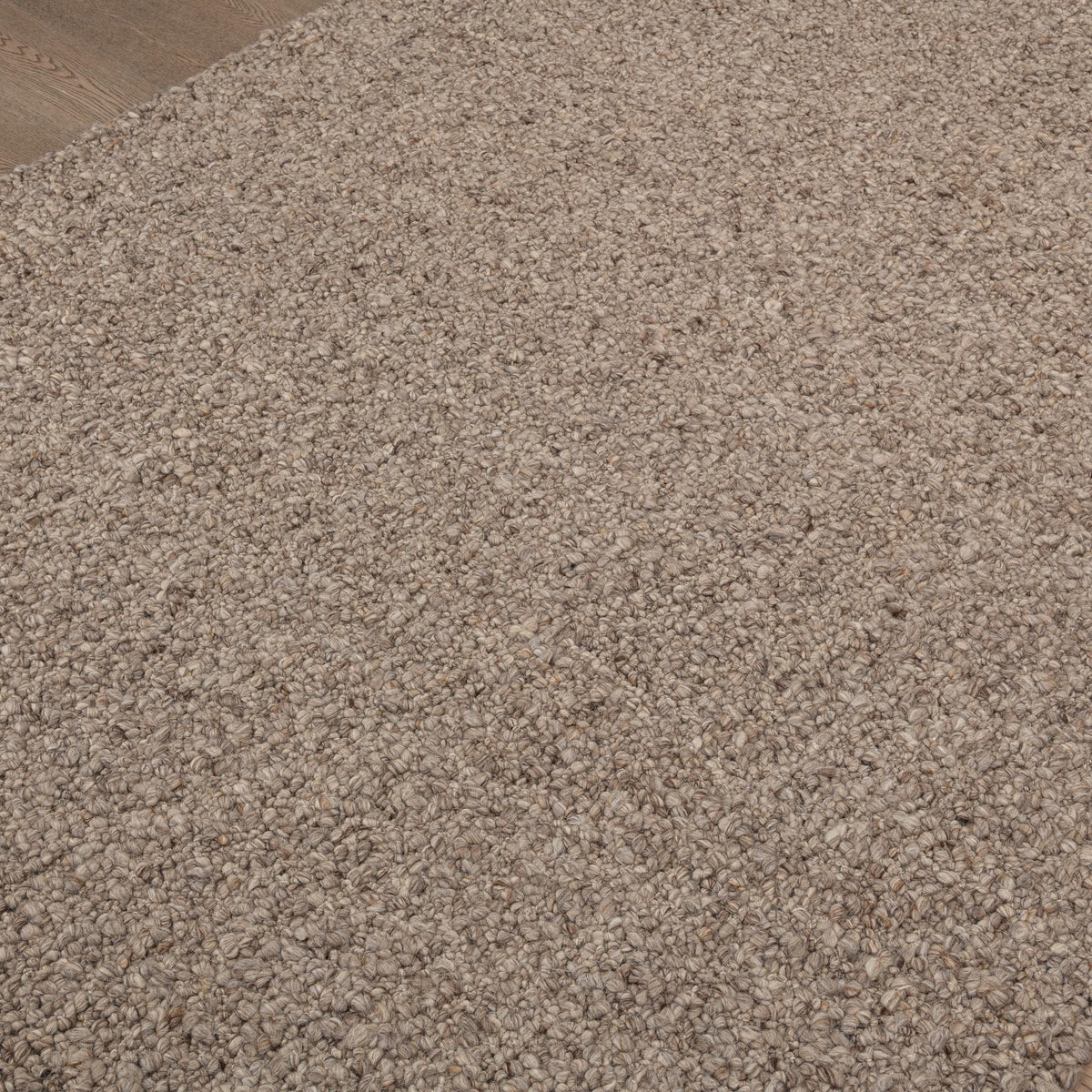 Hobbs Rug - Mink Brown / 8'x10' / Rug by Classic Home - view 4