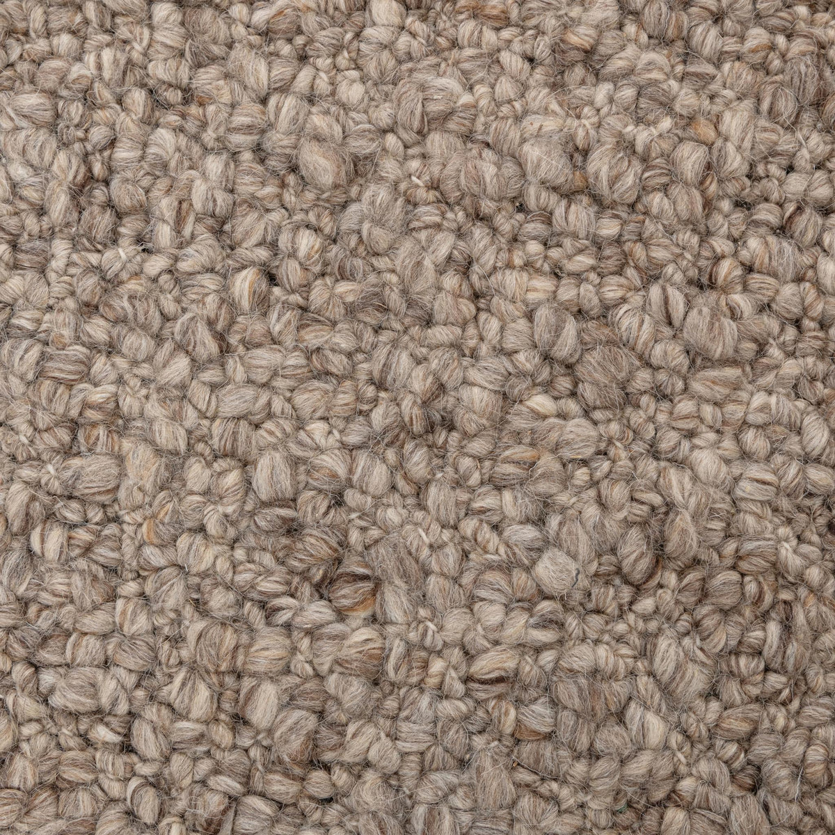 Hobbs Rug - Mink Brown / 9'x12' / Rug by Classic Home - view 7