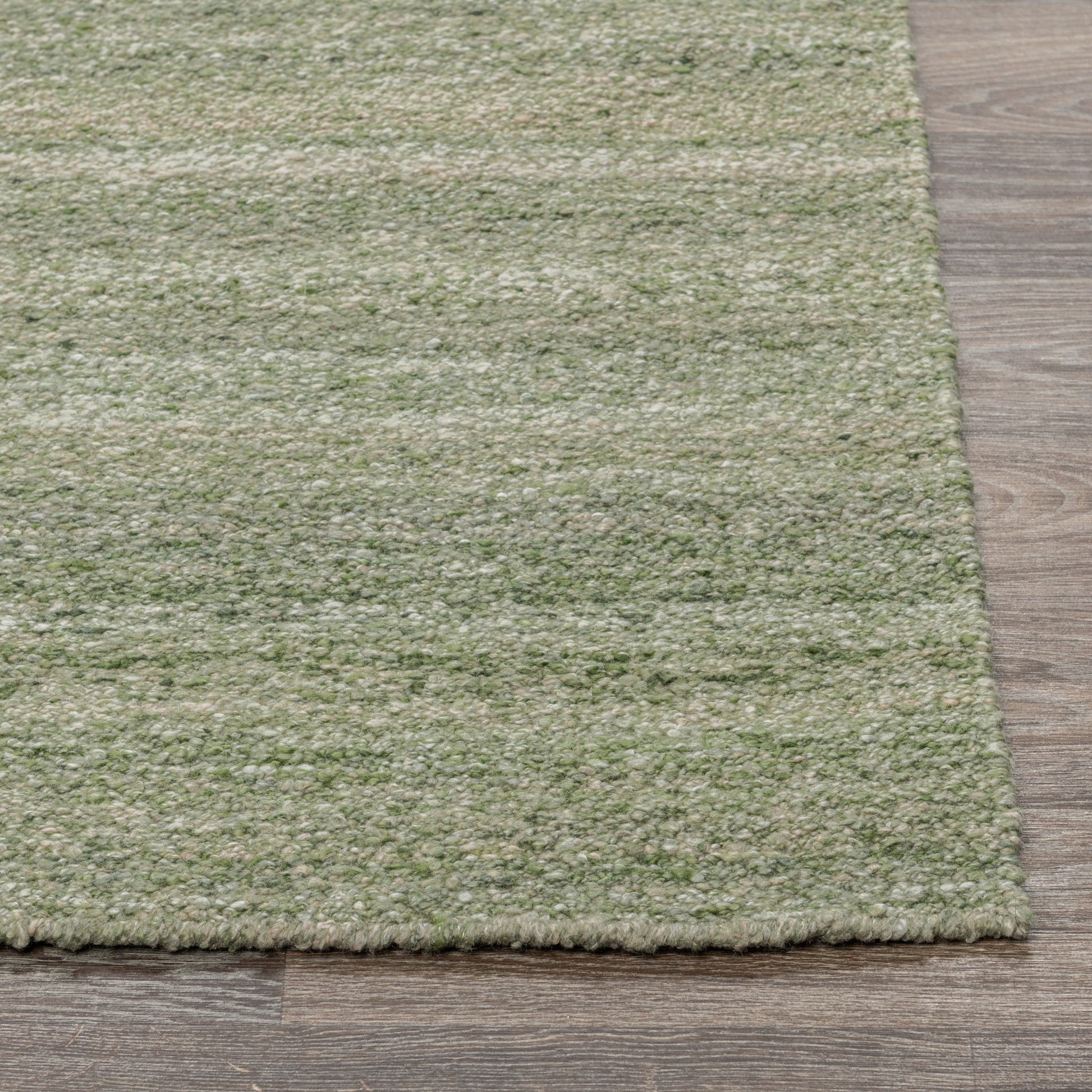 Performance Blythe Rug - Green - 2'x3'