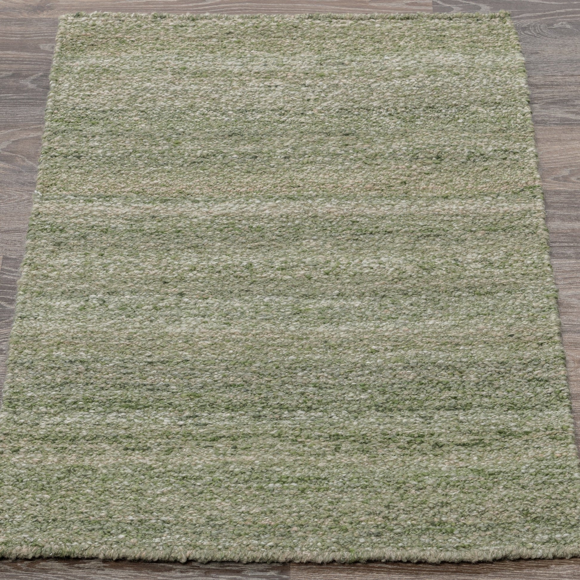 Performance Blythe Rug - Green - 2'x3'