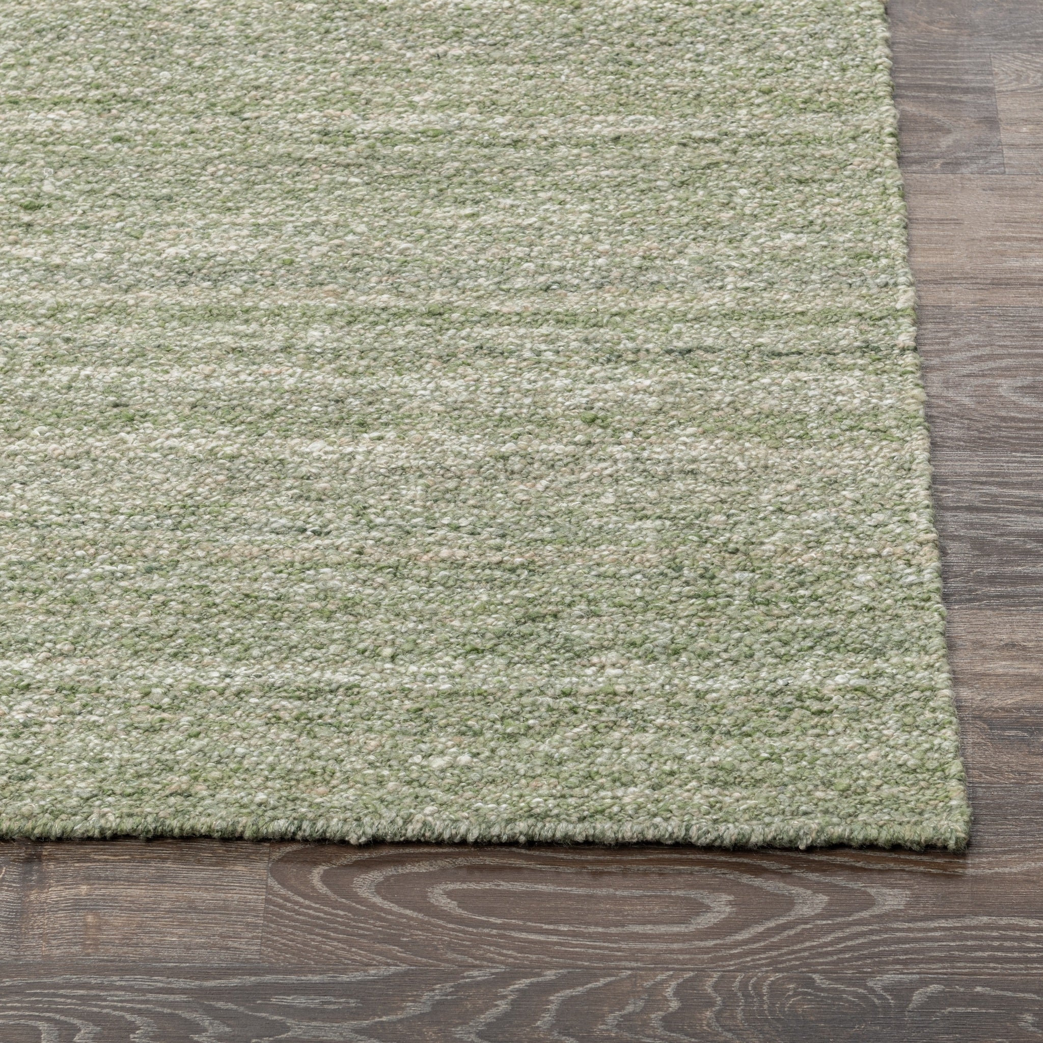 Performance Blythe Rug - Green - 2'x3'