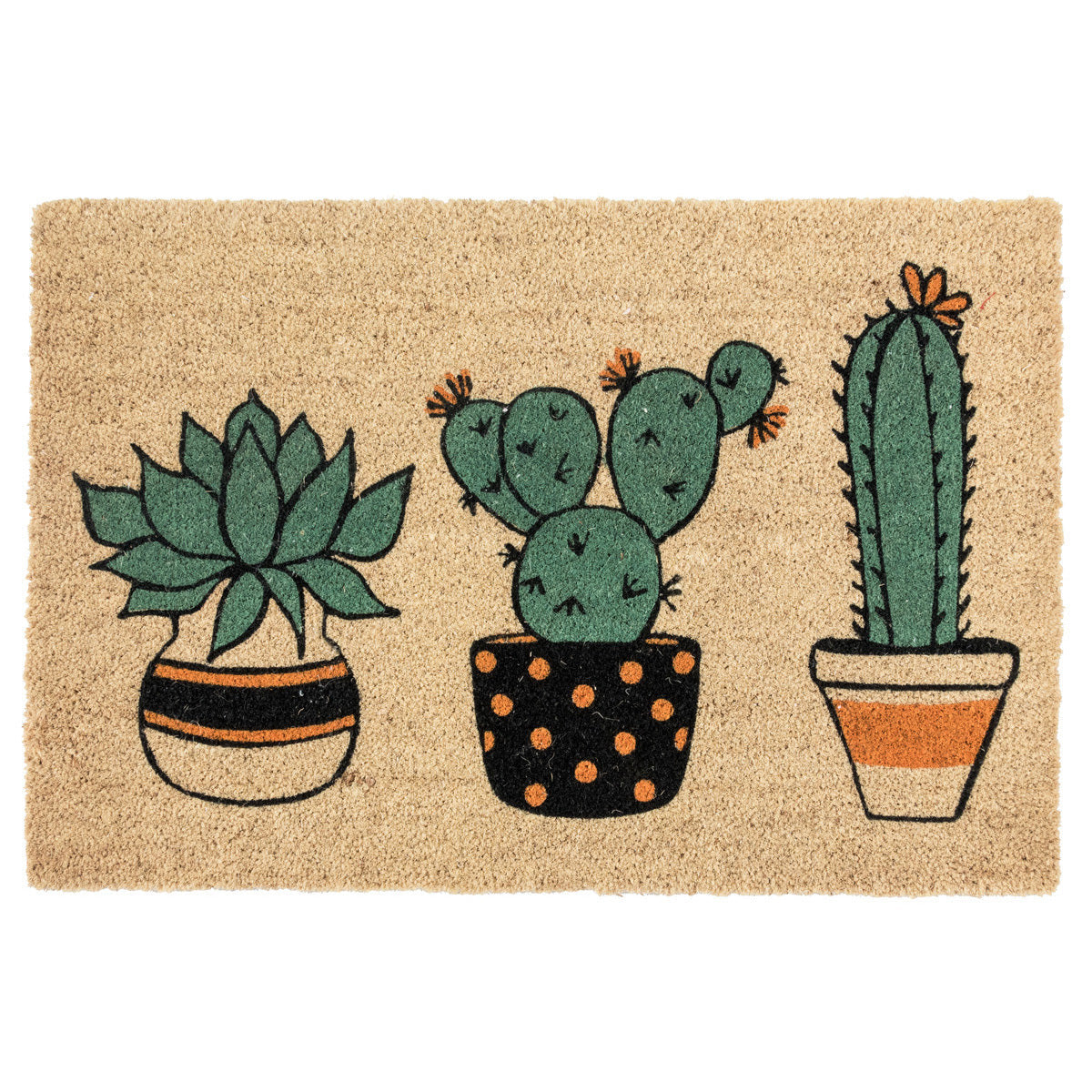 Doormat Plants 24x36