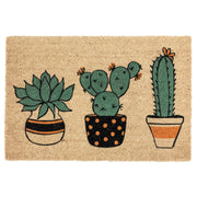 Doormat Plants 24x36