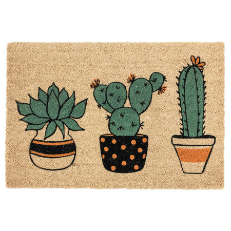 Doormat Plants 24x36