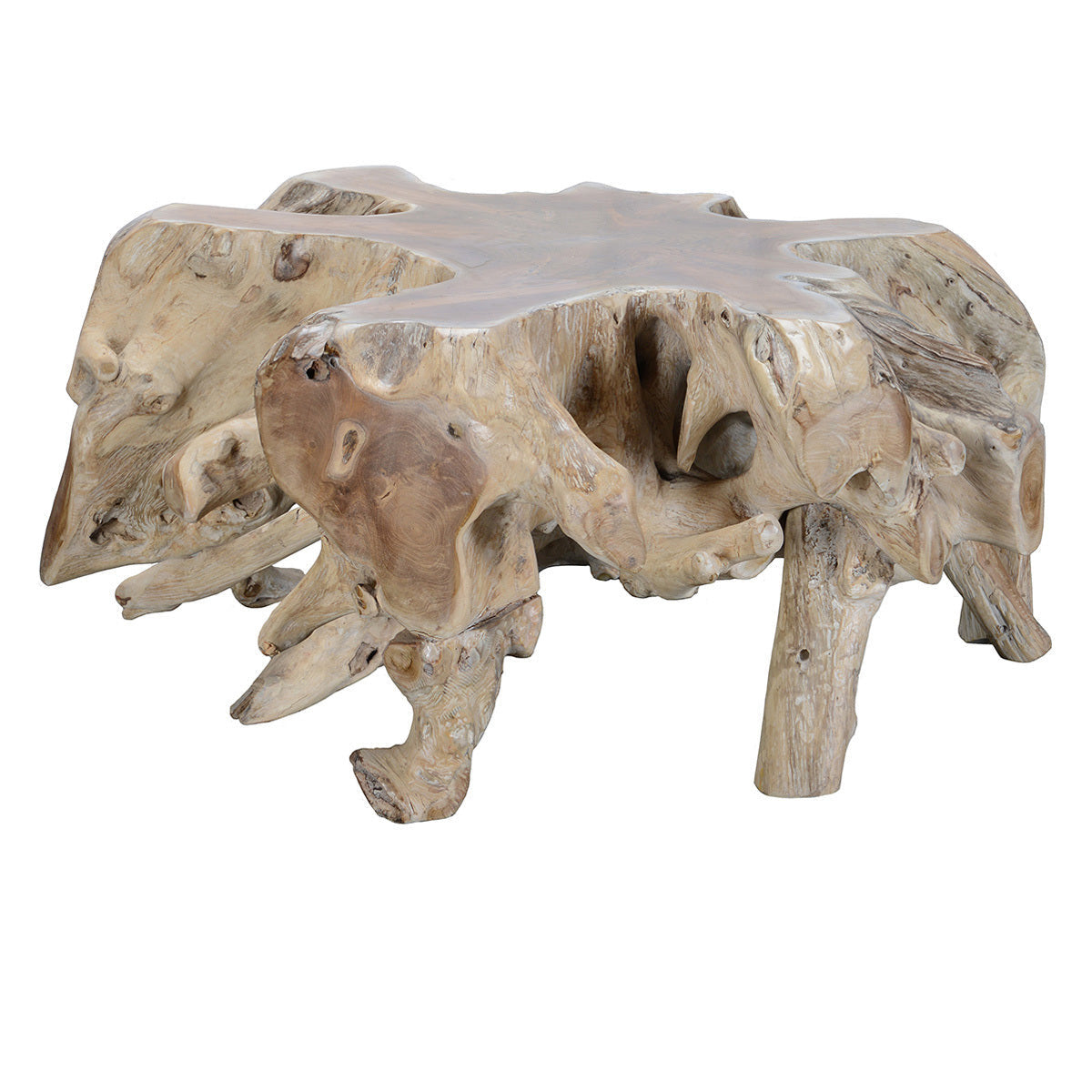 Cypress Teak Root Coffee Table