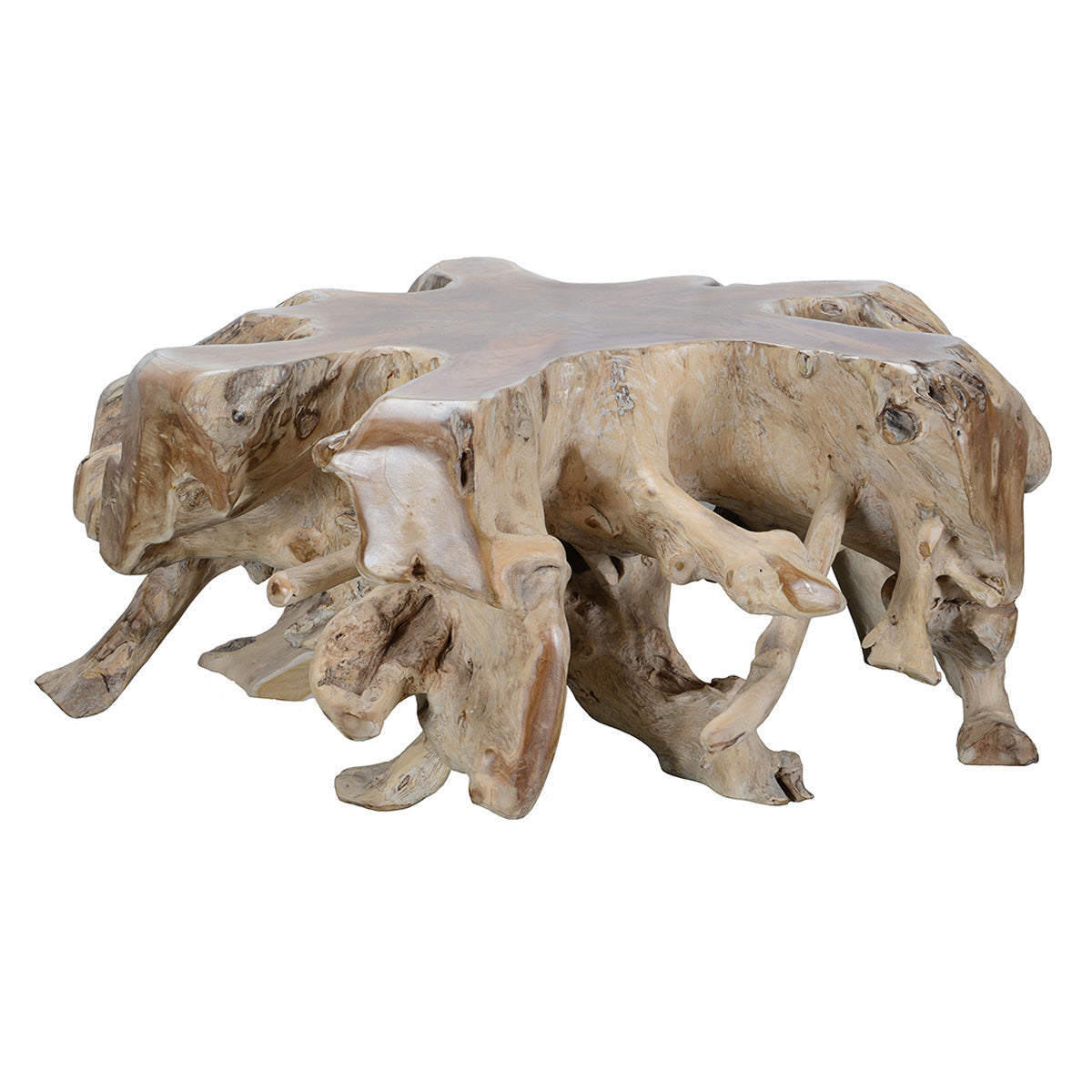 Cypress Teak Root Coffee Table