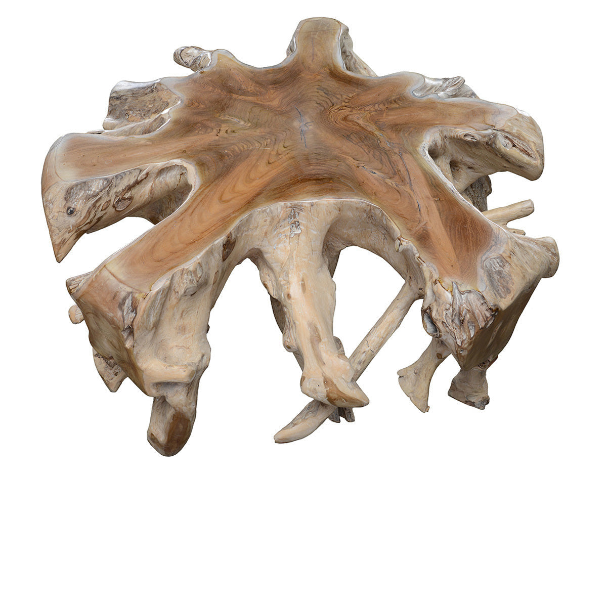 Cypress Teak Root Coffee Table