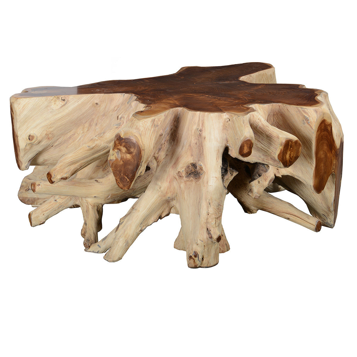Groot Teak Root Coffee Table