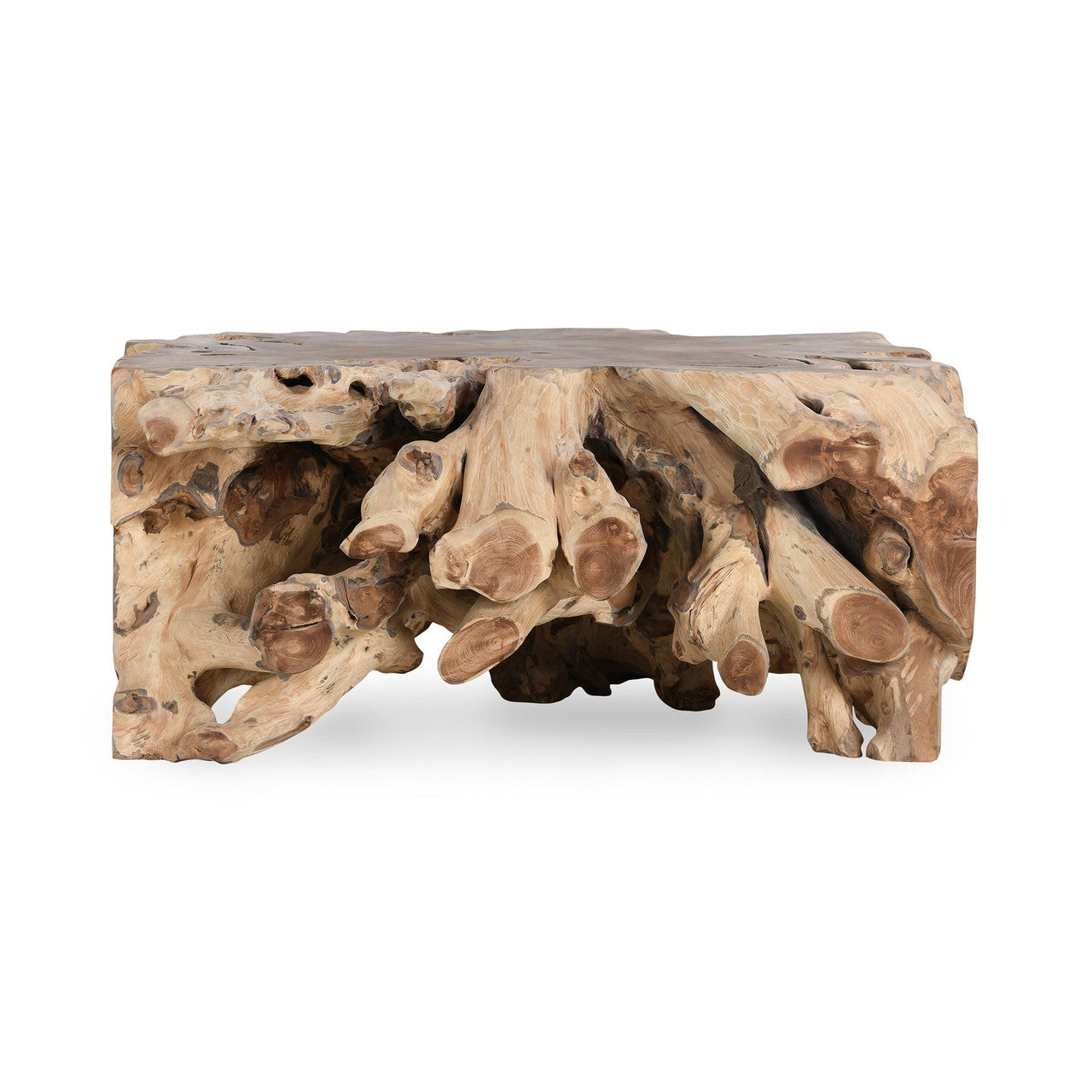 Cypress Teak Root Square Coffee Table