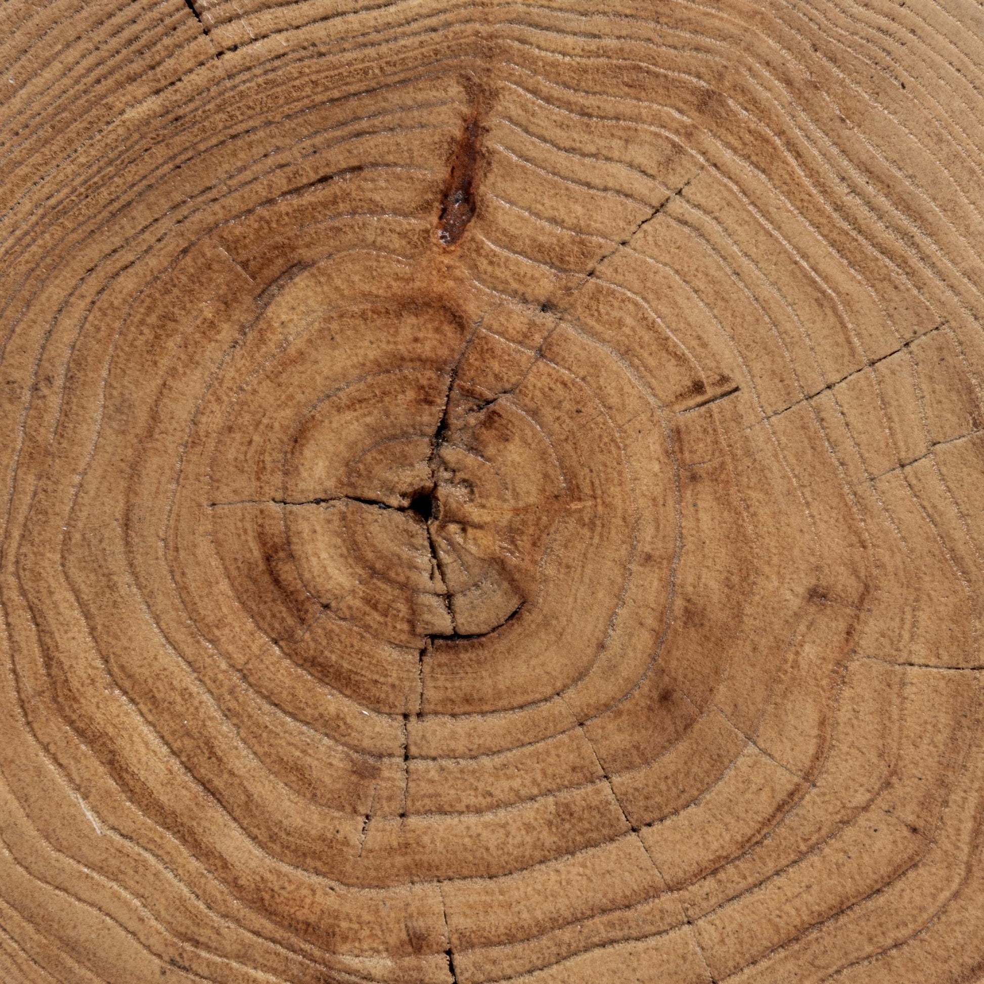 Alina Accent Table Heartwood Natural - Heartwood Natural