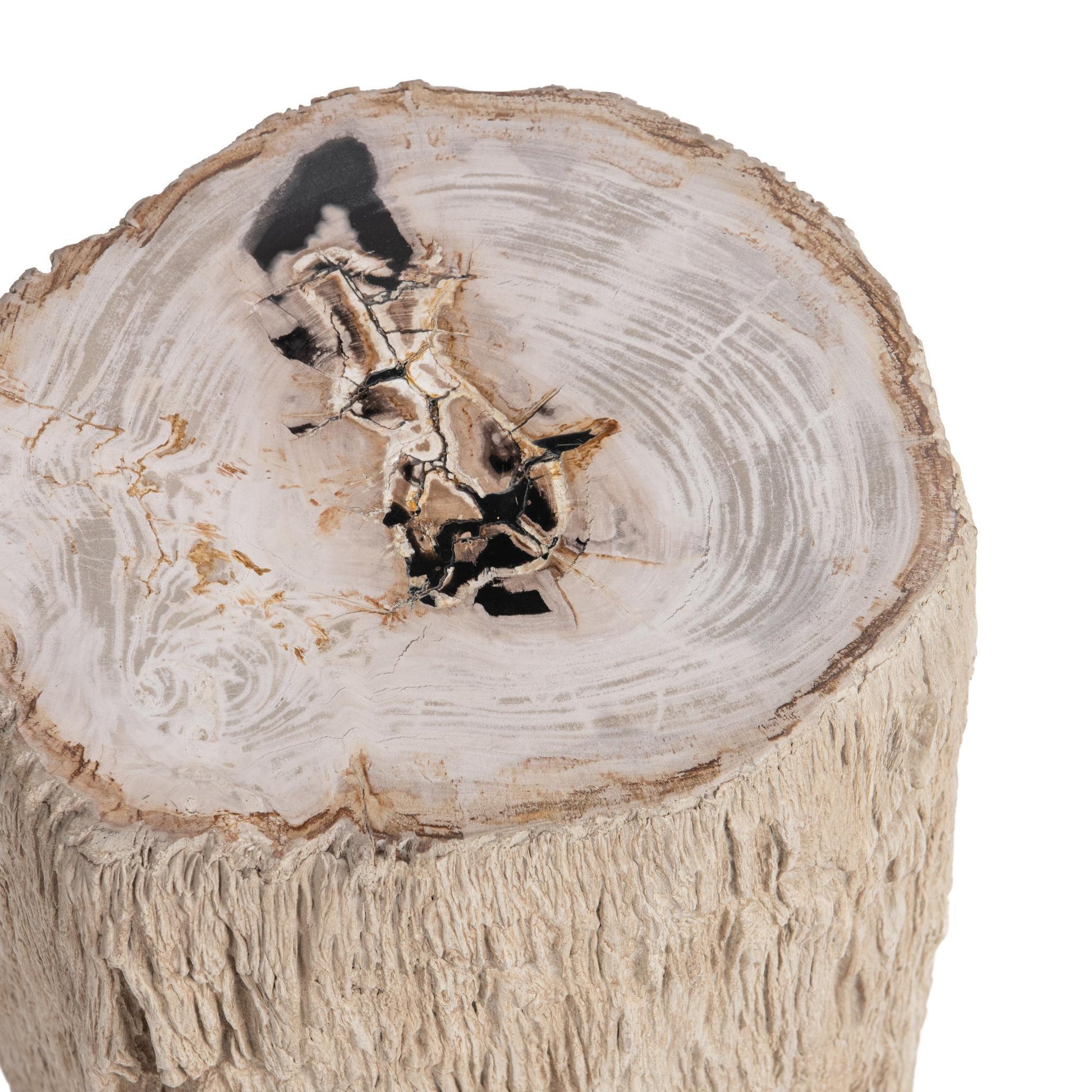 Messi Table - Coastal Birch