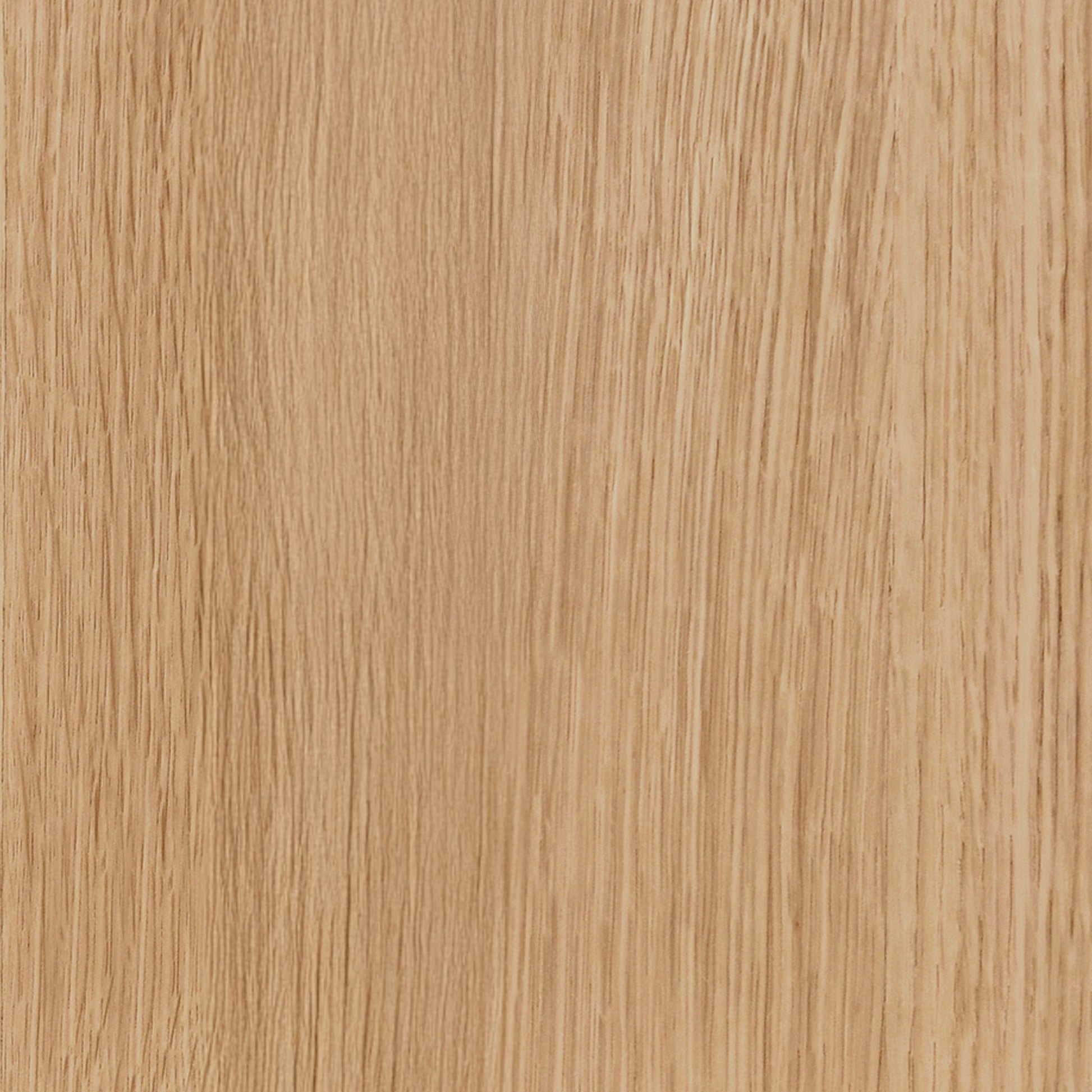 Layne Coffee Table with Casters - True Natural