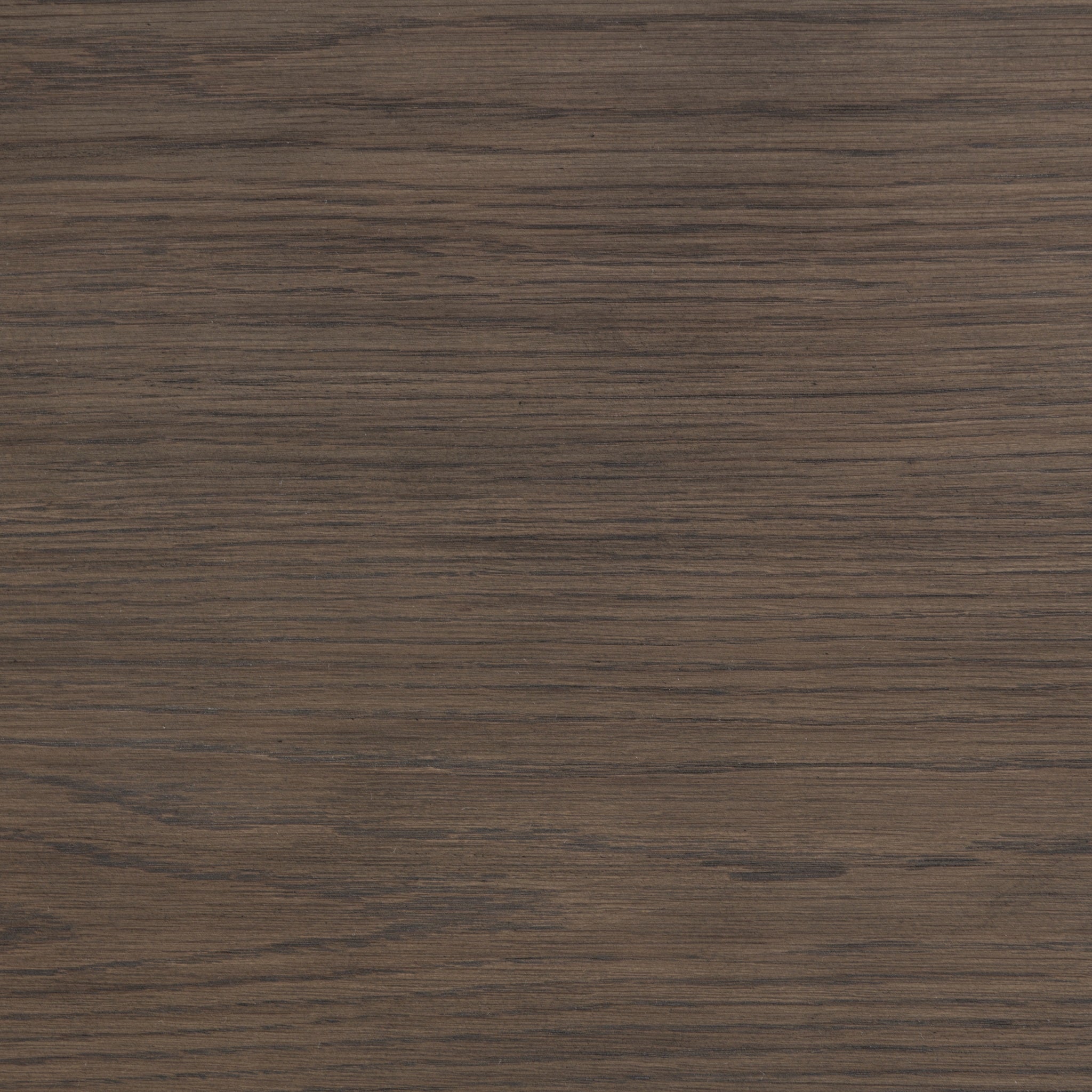 Melina 2 Piece 63" Coffee Table - Havana Brown