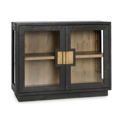 Larson 2 Door Cabinet - Carbon Black