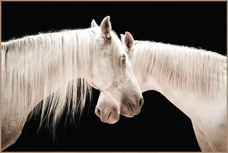 Mirrored Beauty White Horses Wall Art Work 60"