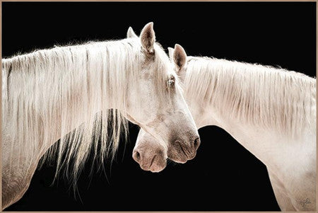 Mirrored Beauty White Horses Wall Art Work 60"