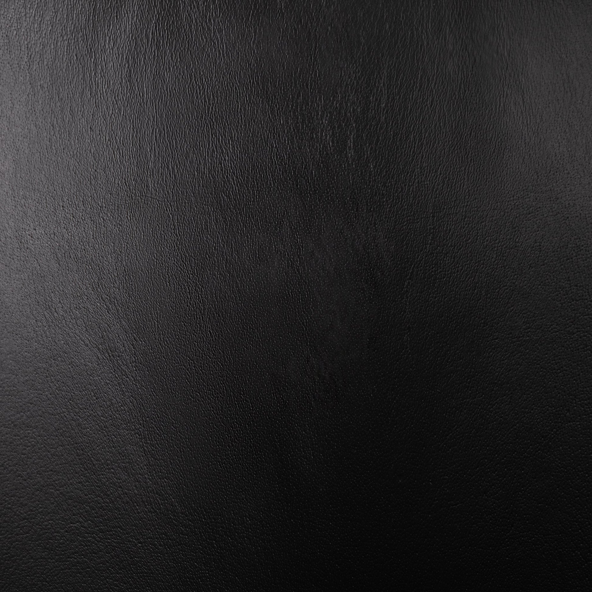 Hester Dining Chair - Midnight Raven