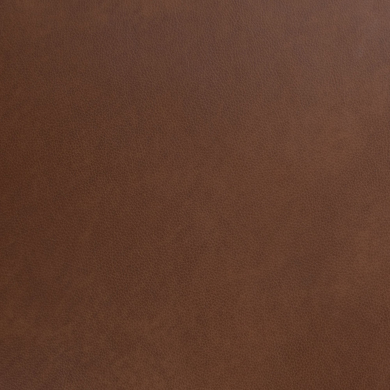 Audrey Leather Daybed Lush