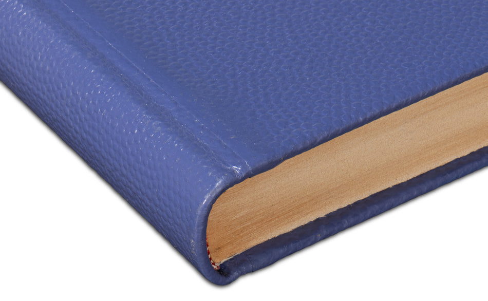 Shagreen Books, Set Of 12, Marlin by Sarreid Ltd - view 10