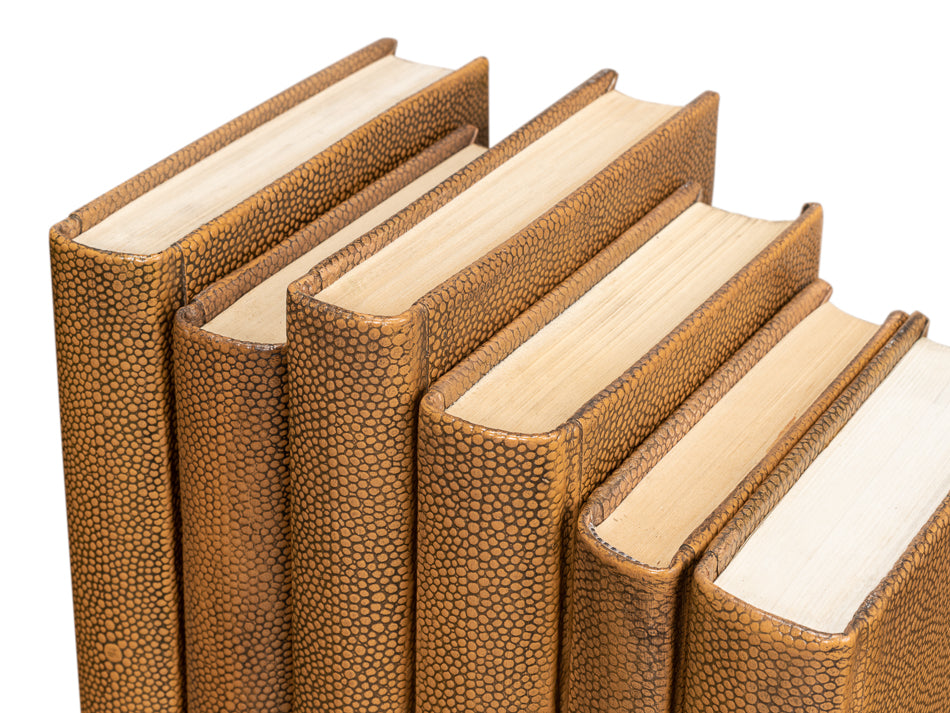 Shagreen Books, Set Of 12, Tawny Brown by Sarreid Ltd - view 9