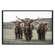 Highland Photography 48x72