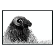 Horn Photography 48x72
