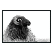 Horn Photography 48x72