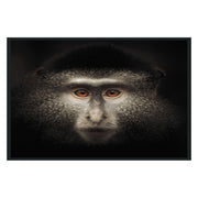 Monkey Photography 48x72