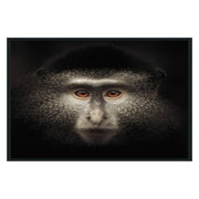 Monkey Photography 48x72