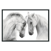 White Horses Photography