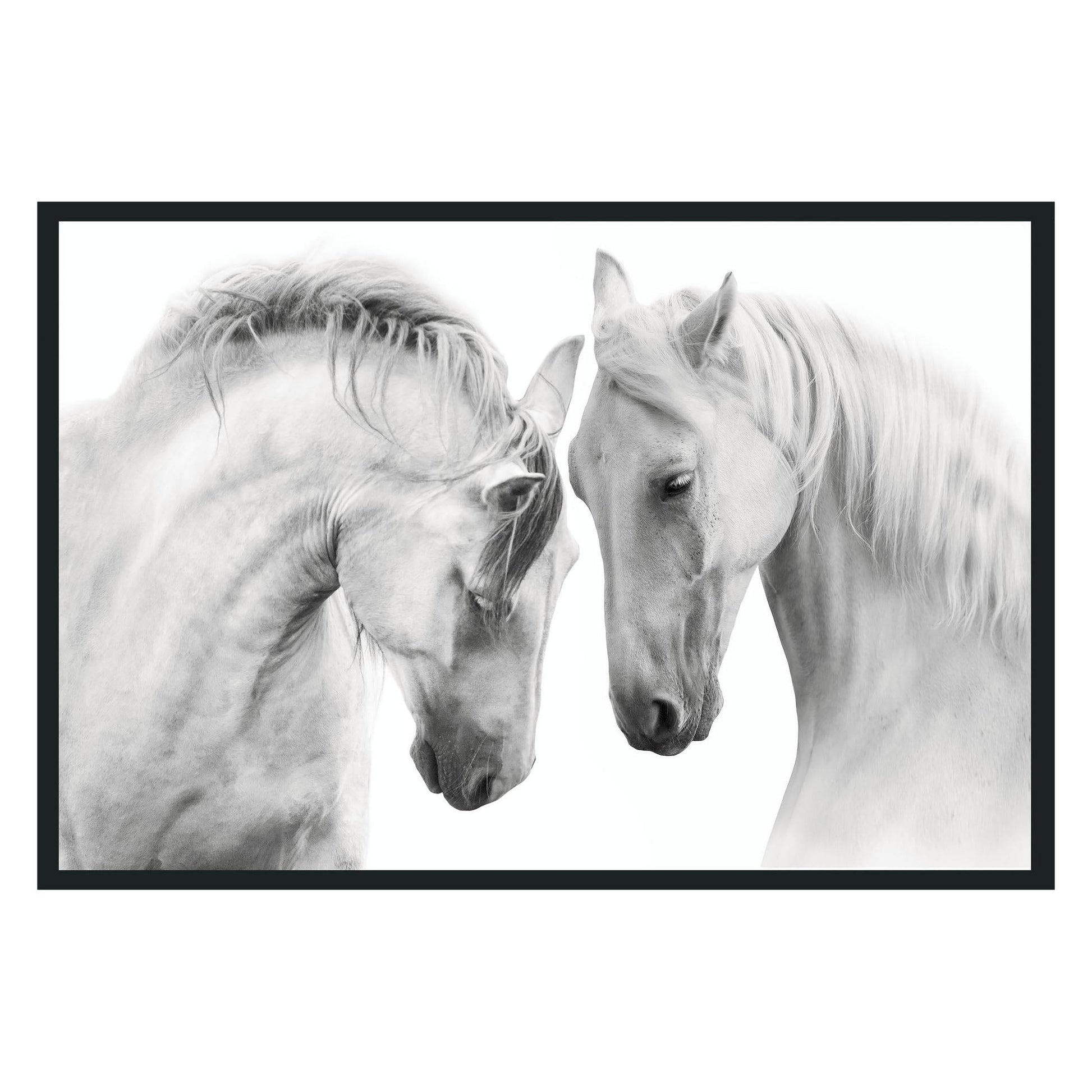 White Horses Photography